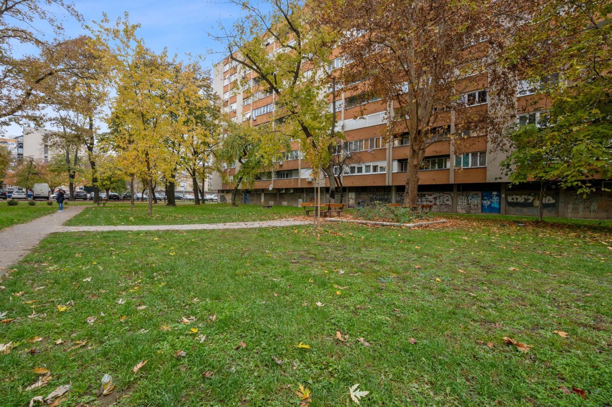 Apartment Pulse Knezija